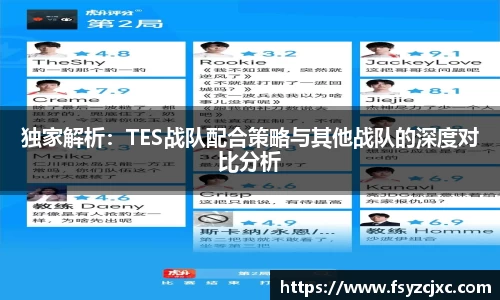 独家解析：TES战队配合策略与其他战队的深度对比分析